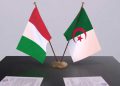 الجزائر وإيطاليا…نحو توسيع الشراكات الطاقوية