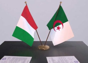 الجزائر وإيطاليا…نحو توسيع الشراكات الطاقوية
