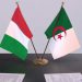 الجزائر وإيطاليا…نحو توسيع الشراكات الطاقوية