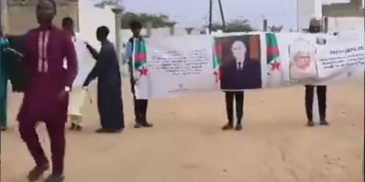 السنغال…صور الرئيس الجزائري في العاصمة داكار