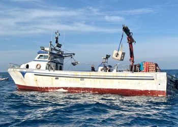 إنشاء صندوق وطني لتعويض البحارة خلال توقف النشاط