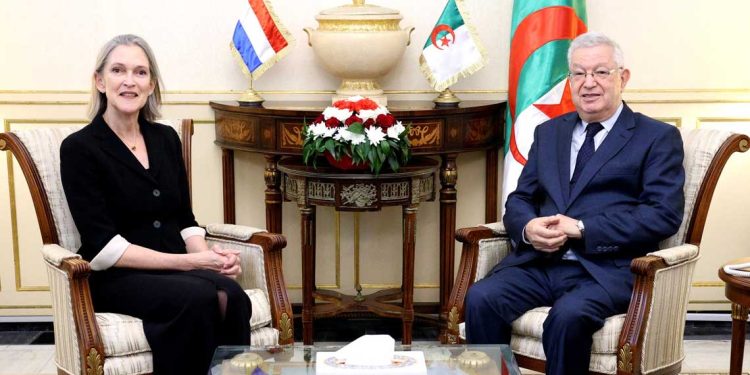 تعزيز الشراكة الجزائرية-الهولندية…محادثات في مجلس الأمة