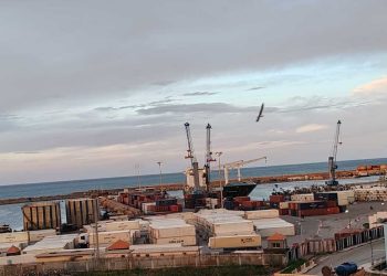 سلالسل التوريد…ميناء يعزّز مكانته في تصدير التمور المعبأة بالحاويات