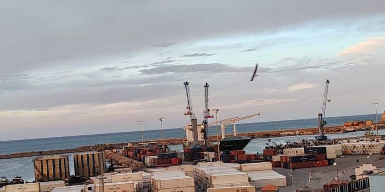 سلالسل التوريد…ميناء يعزّز مكانته في تصدير التمور المعبأة بالحاويات
