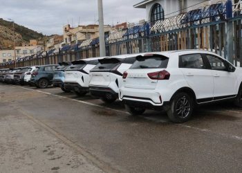 ميناء الغزوات يعزز نشاطه في استيراد السيارات