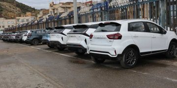 ميناء الغزوات يعزز نشاطه في استيراد السيارات