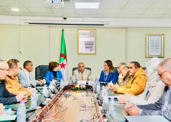 وزيرة الثقافة تعرض حصيلة 2025 وخطة 2026–2028