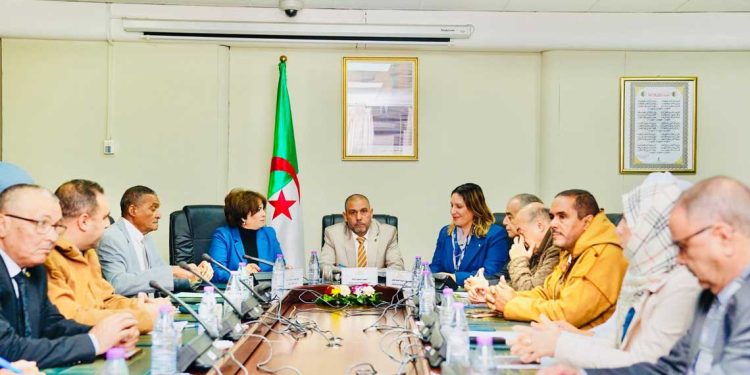 وزيرة الثقافة تعرض حصيلة 2025 وخطة 2026–2028